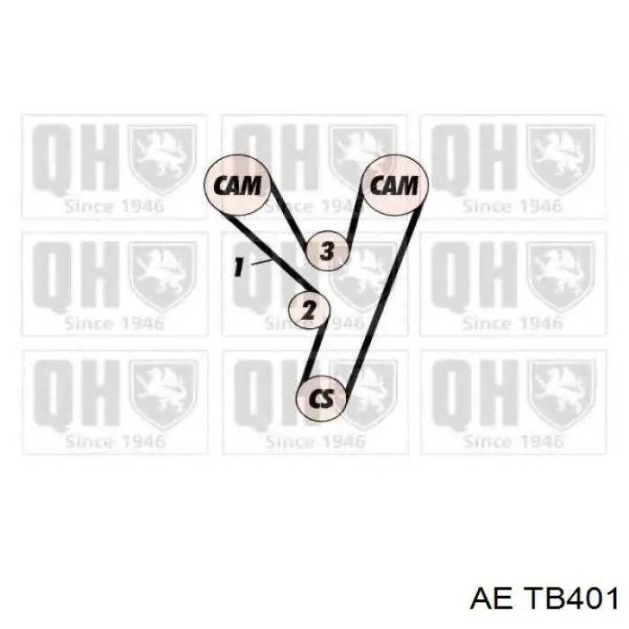 Comprar TB401 AE Correa distribución