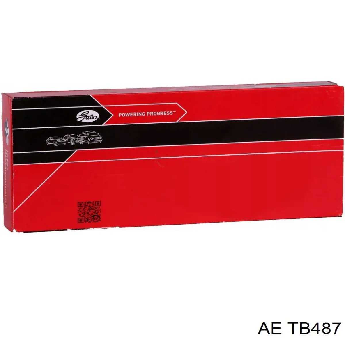 TB487 AE
