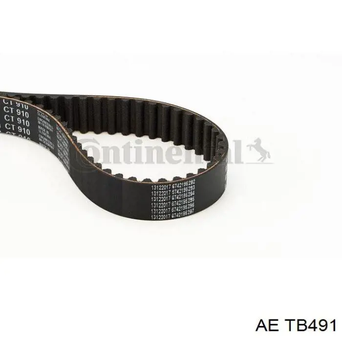 Comprar TB491 AE Correa distribución