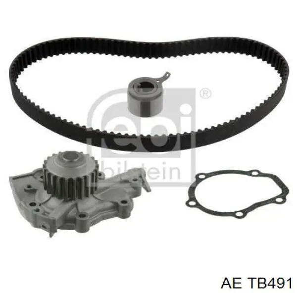Correa distribución TB491 AE
