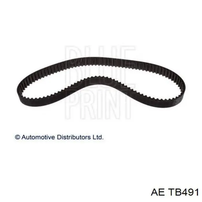 TB491 AE Correa dentada