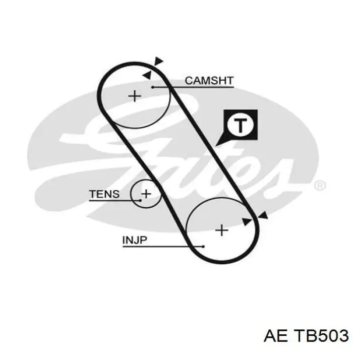 TB503 AE correa, bomba de alta presión