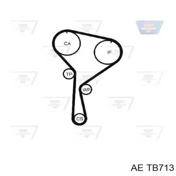 Correa distribucion Nissan Qashqai 1 J10
