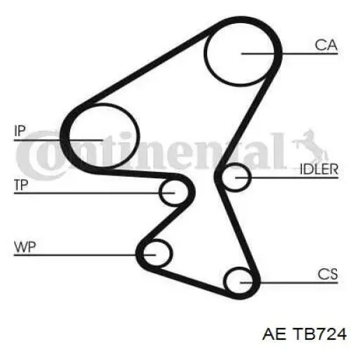 Correa distribucion Ford Fiesta JH, JD