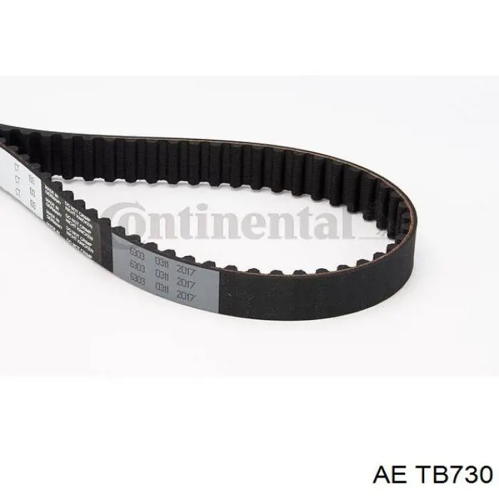 Correa distribución TB730 AE