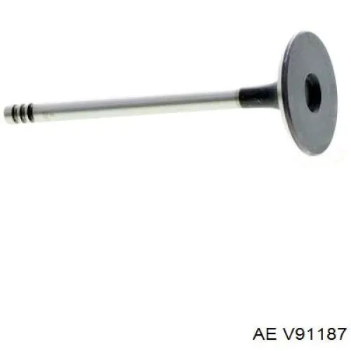 Válvula de admisión AE V91187 precio, desde 12,16 EUR