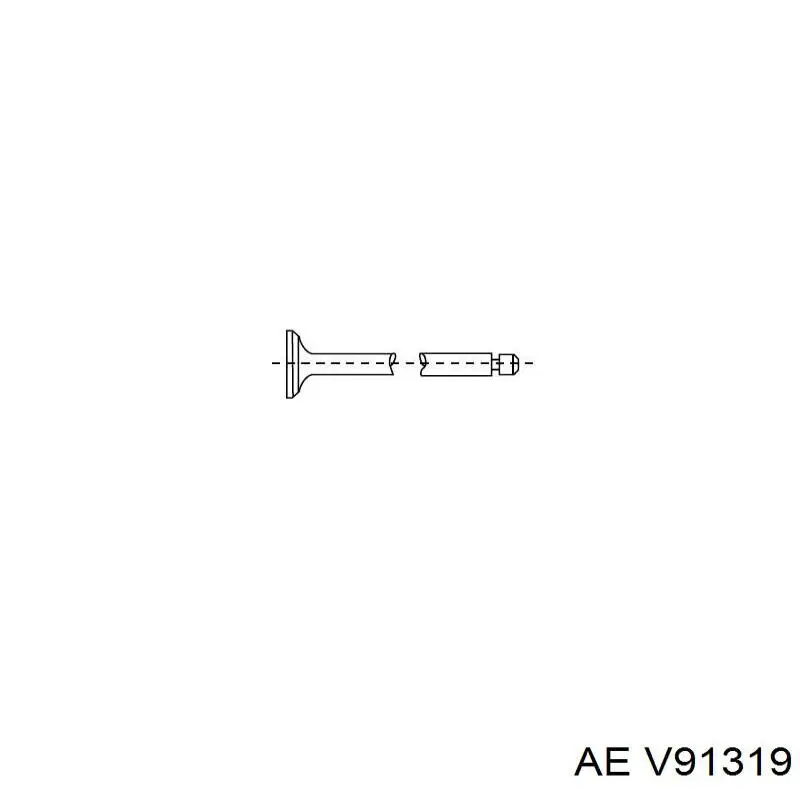 V91319 AE