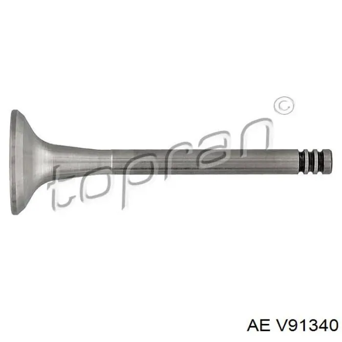 Válvula de escape AE V91340 precio, desde 16,17 EUR