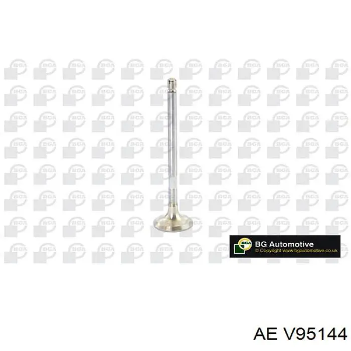 V95144 AE