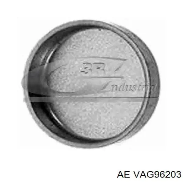 VAG96203 AE Guía de válvulas