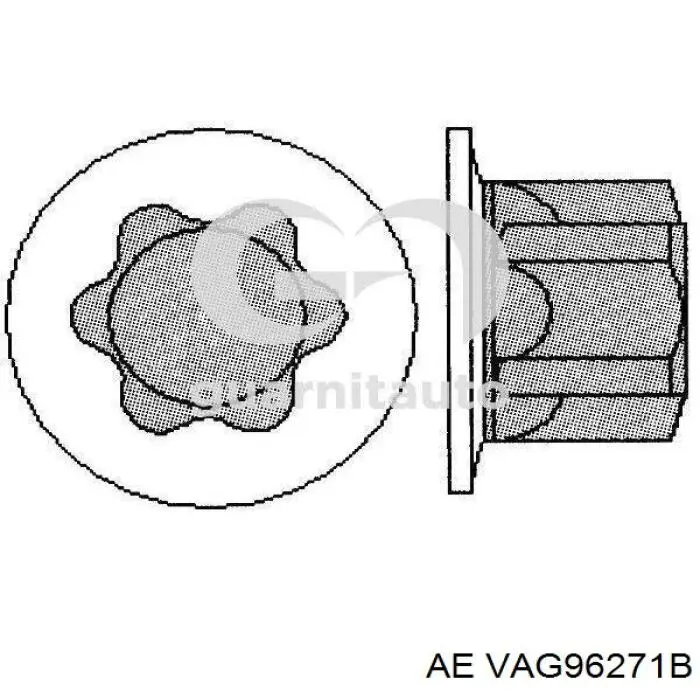 Guía de válvula Citroen Berlingo B9