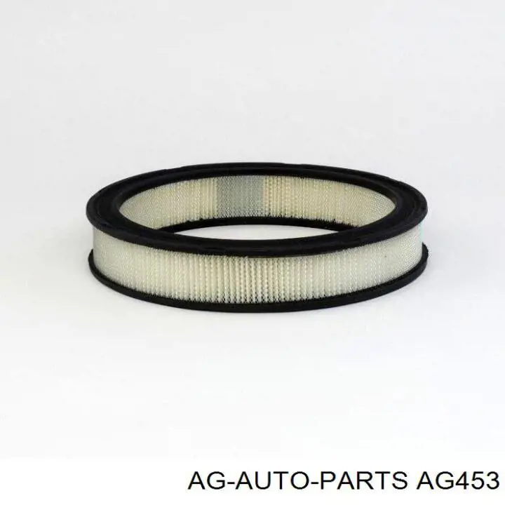 AG453 AG filtro combustible