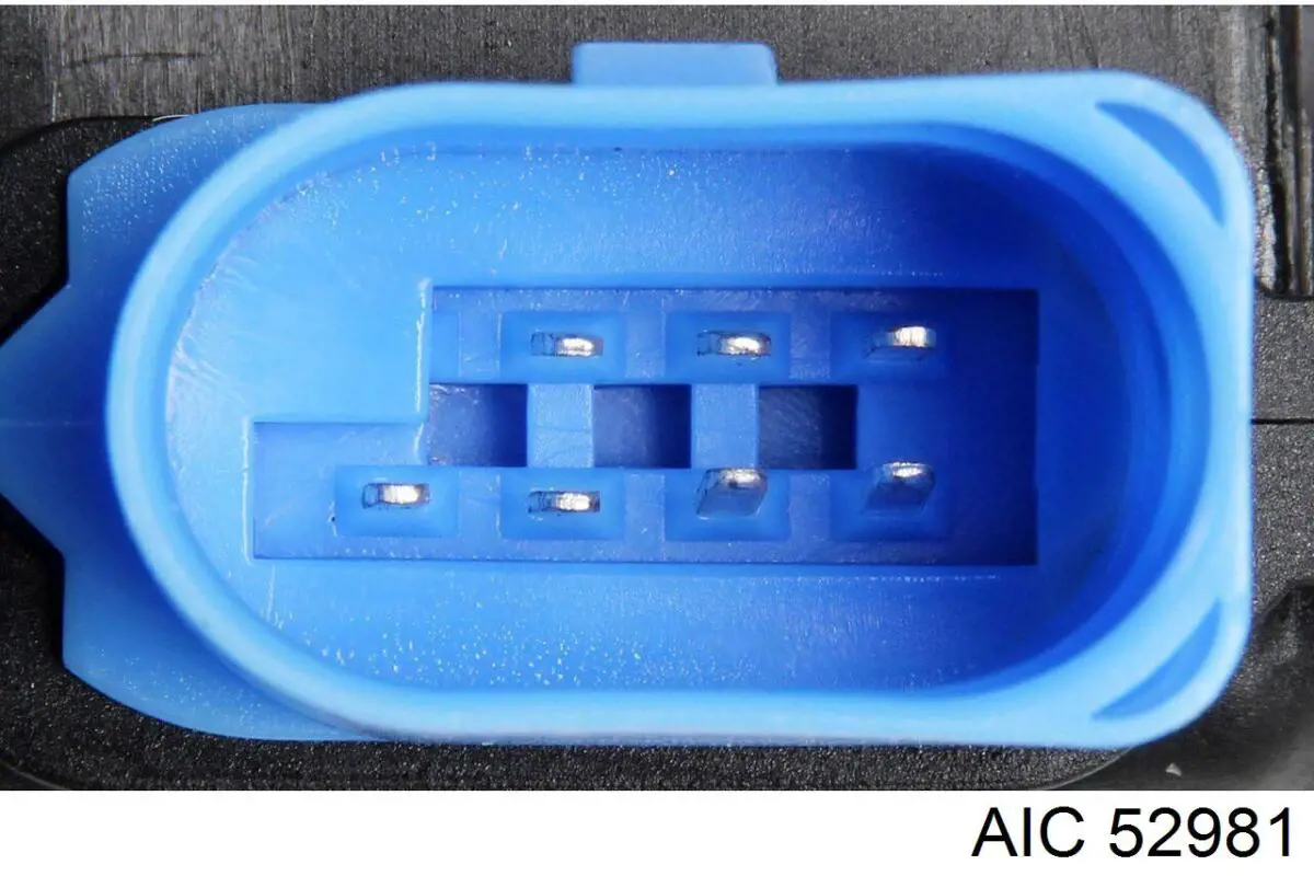 52981 AIC Cerradura de puerta trasera izquierda