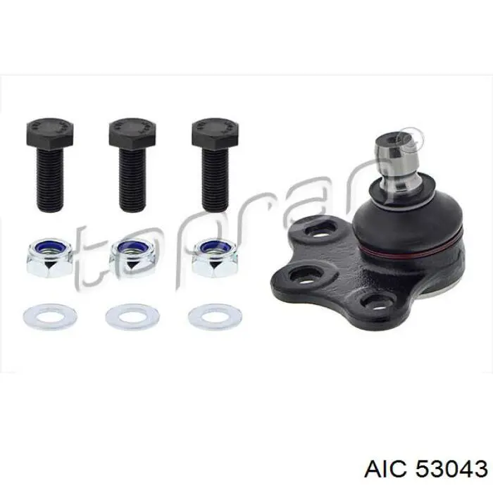 53043 AIC