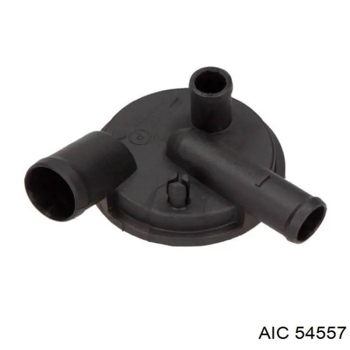 54557 AIC válvula, ventilaciuón cárter