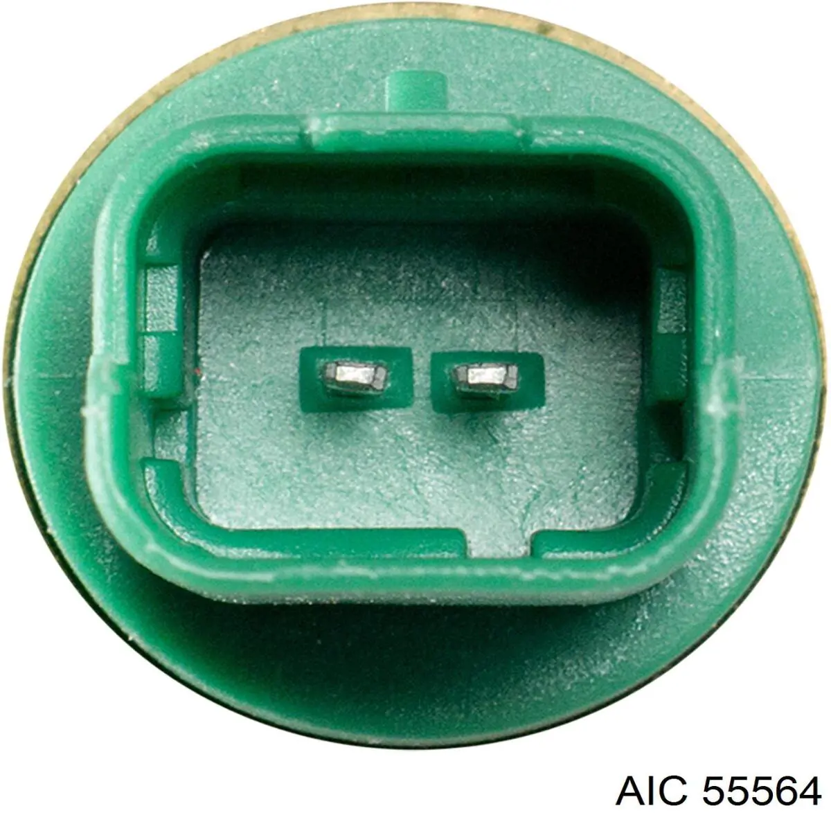 55564 AIC Cárter de aceite del motor