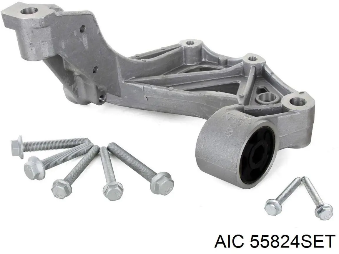 55824SET AIC