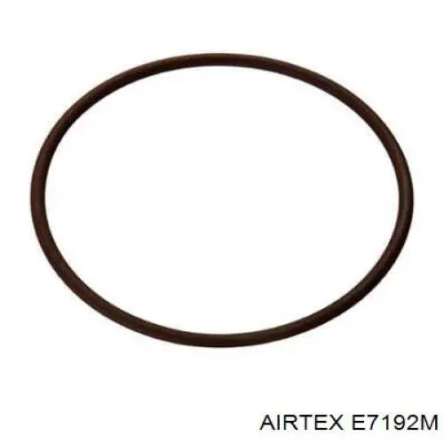 E7192M Airtex módulo alimentación de combustible