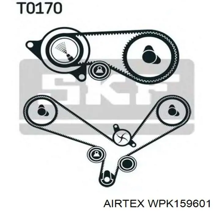 WPK-159601 Airtex kit correa de distribución