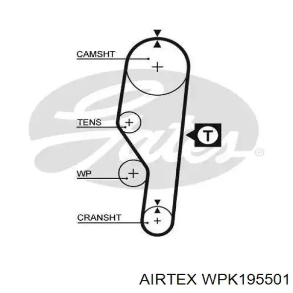 WPK-195501 Airtex kit de distribución