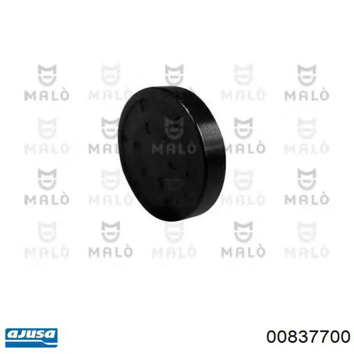 Tapón de culata Renault Espace 4 JK0