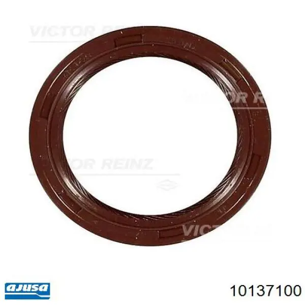 Junta de culata 55189964 Fiat/Alfa/Lancia