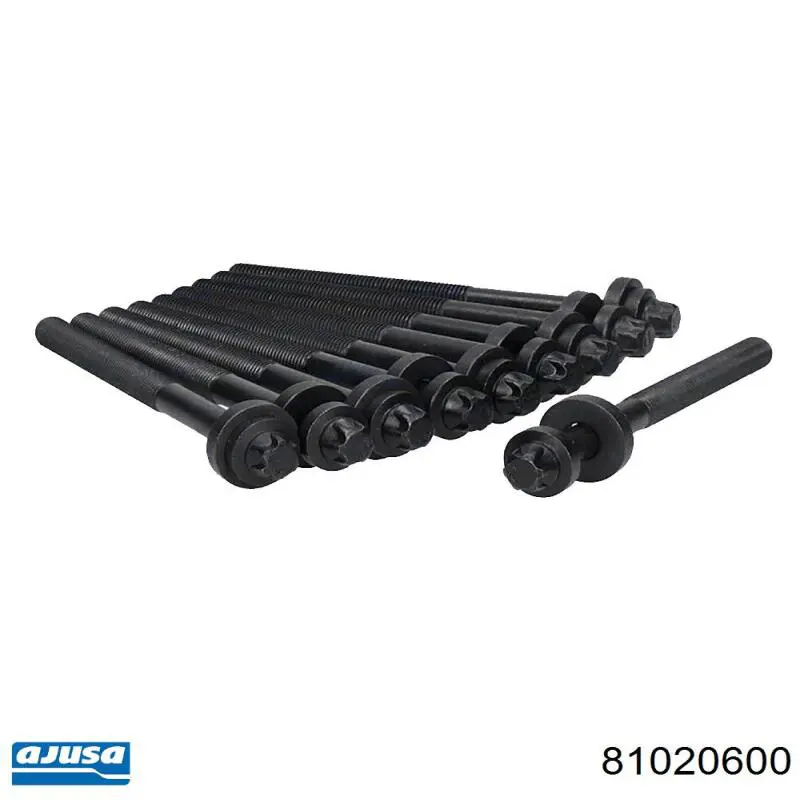 Tornillo culata 81020600 Ajusa
