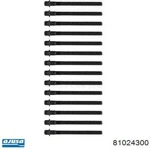 81024300 Ajusa tornillo de culata