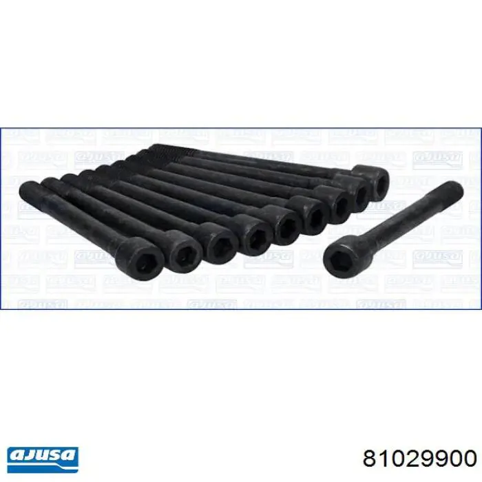 Juego tornillos culata Ajusa 81029900 precio, desde 30,07 EUR