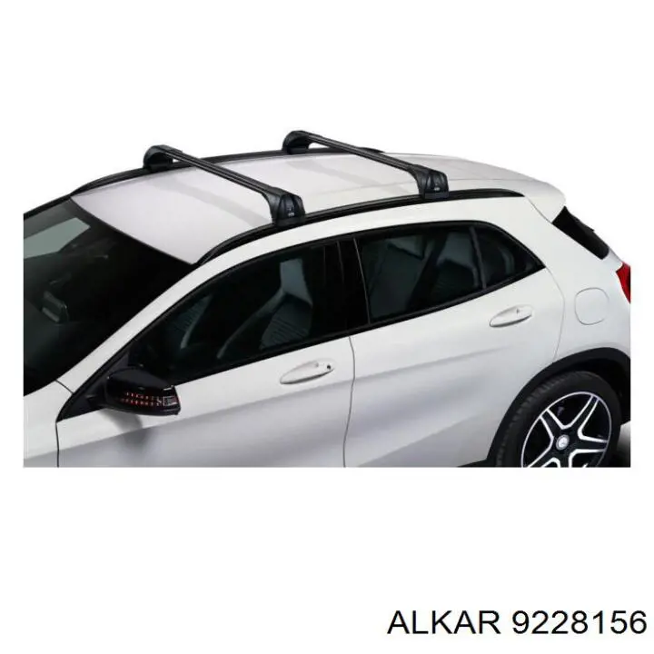 9228156 Alkar Espejo derecho