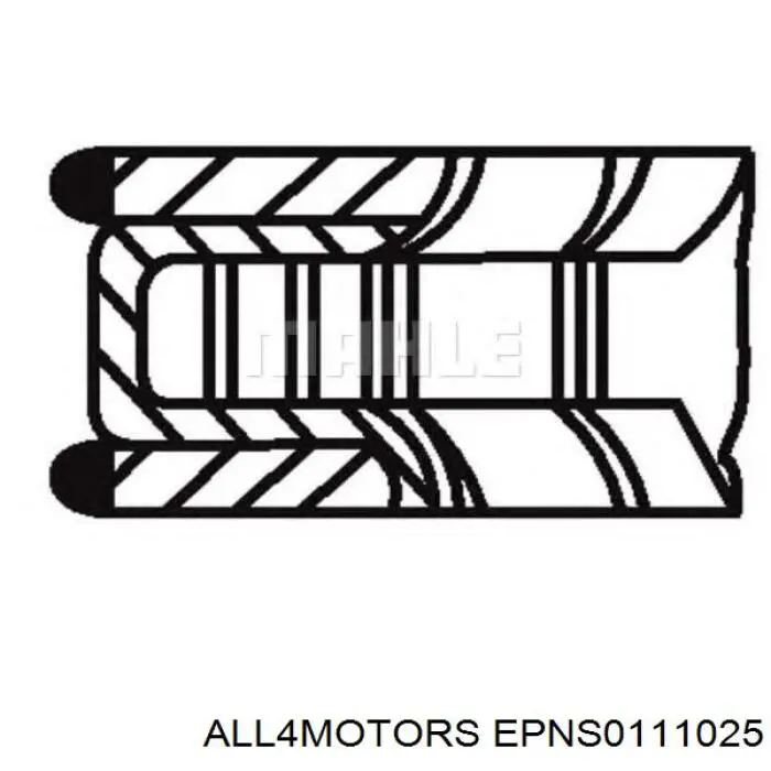 EPNS0111025 All4motors juego de aros de pistón para 1 cilindro, std