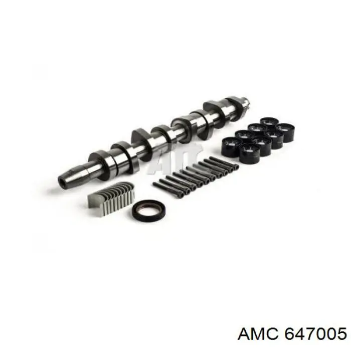 647005 AMC