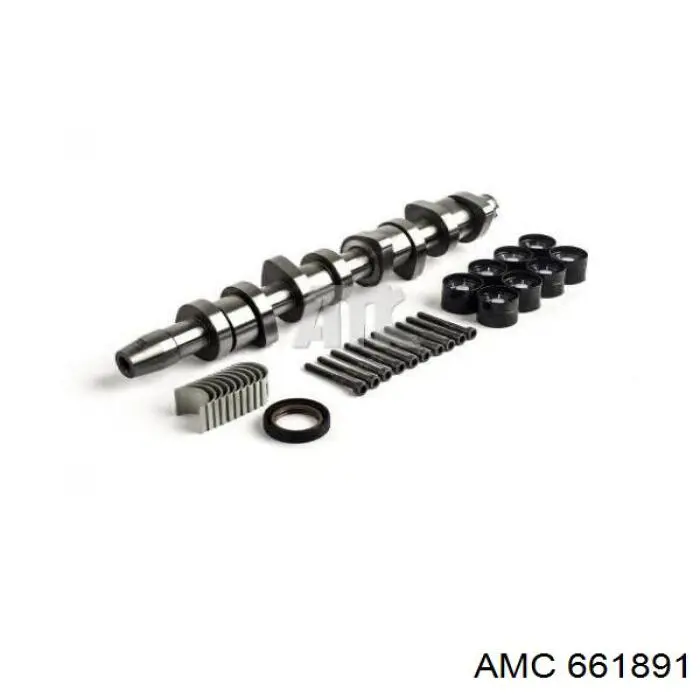 Árboles de levas AMC 661891 precio, desde 153,67 EUR