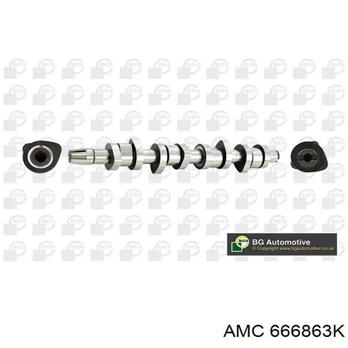 Comprar 666863K AMC Juego de árbol de levas