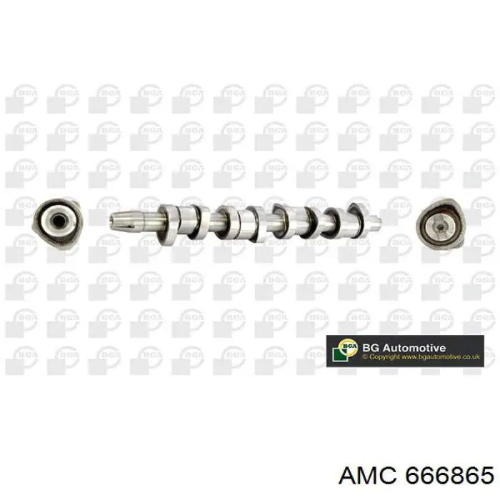 666865 AMC Kit árbol de levas
