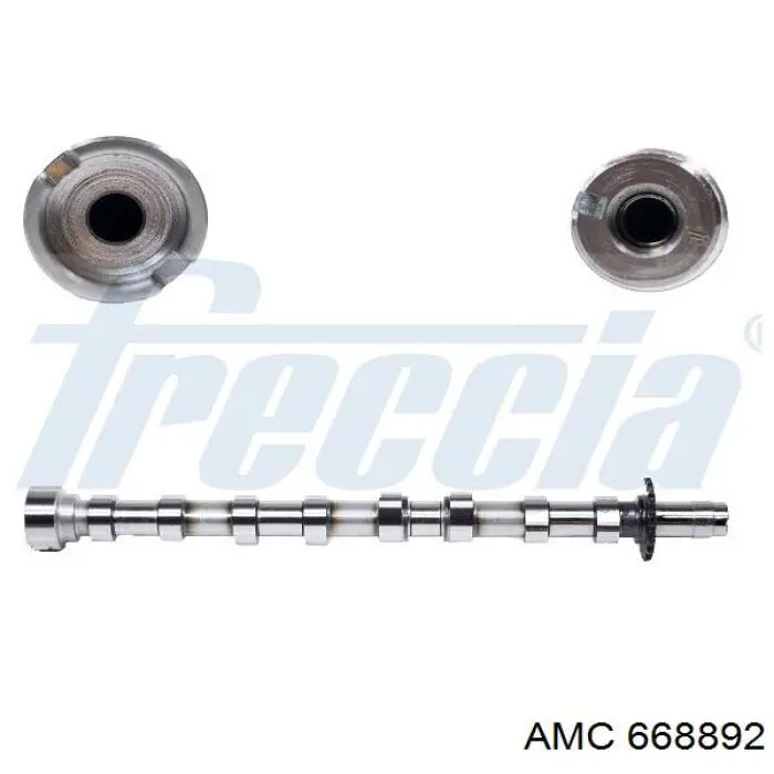 668892 AMC