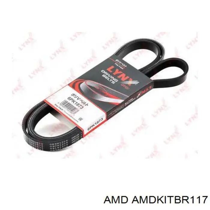 AMDKITBR117 AMD correa trapezoidal