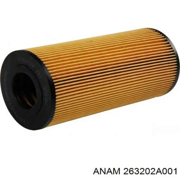 263202A001 Anam filtro de aceite