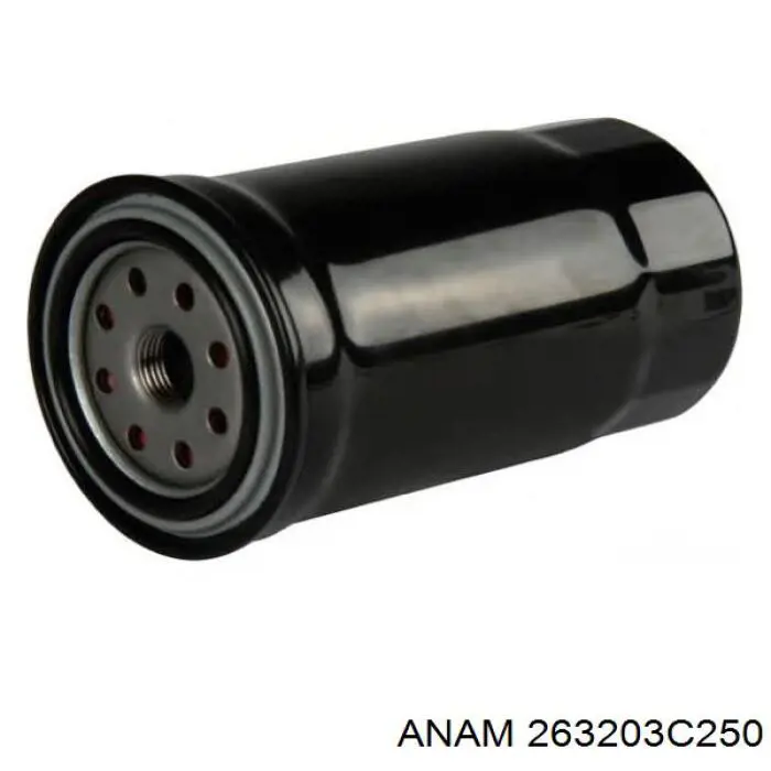 263203C250 Anam filtro de aceite