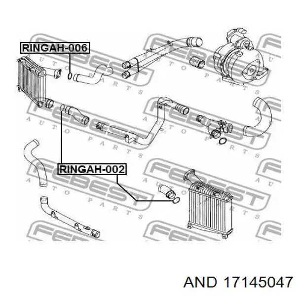 17145047 AND junta tórica para tubo intercooler