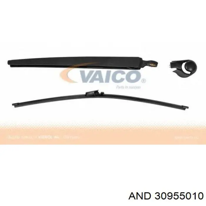 30955010 AND
