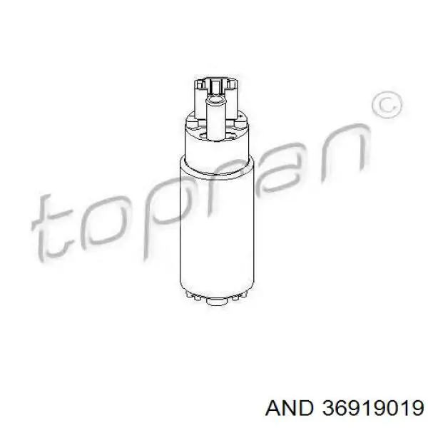 Comprar 36919019 AND Bomba de combustible eléctrica