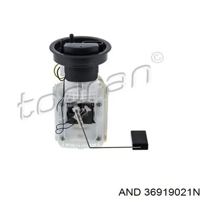 Bomba de gasolina 36919021N AND