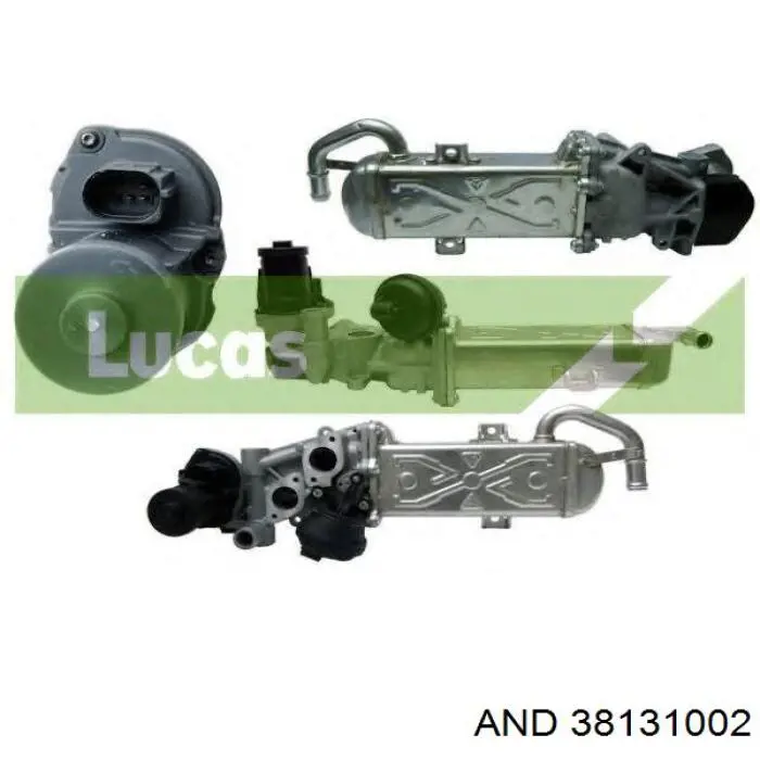 Enfriador de recirculación de gases de escape EGR AND 38131002 precio, desde 39,70 EUR