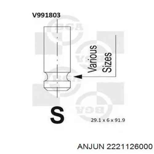 2221126000 Anjun válvula de admisión