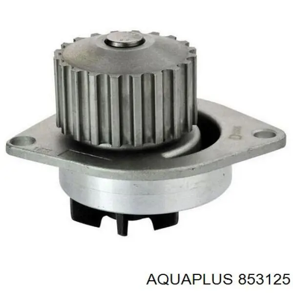 853125 Aquaplus bomba de agua