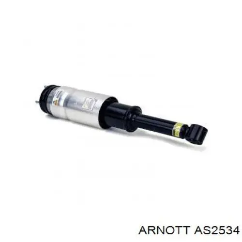 AS-2534 Arnott amortiguador trasero