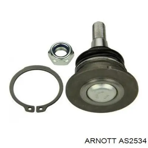 Amortiguadores traseros Arnott AS2534