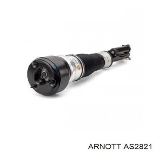 AS2821 Arnott amortiguador trasero derecho