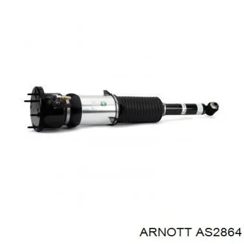 AS3309 Arnott Amortiguador frontal
